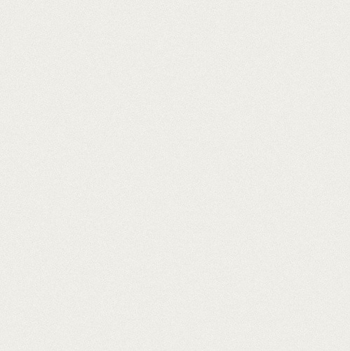 Trends White