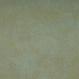 Akmonya Bone